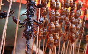 Scary looking but nice taste insects