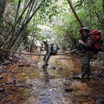 Inside the Virachey National Park