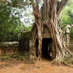 Ta Som temple in Siem Reap