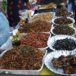 Food from insects