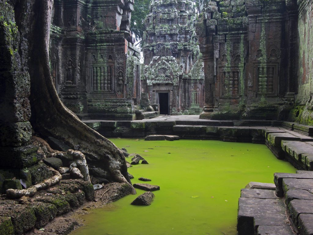 Ta Prohm Temple