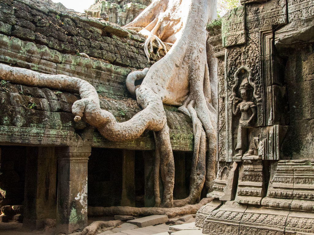 Ta Prohm makes people feel and respect wonderful power of nature